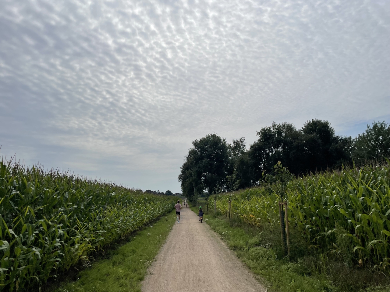 Ohne Titel 29.08.2025