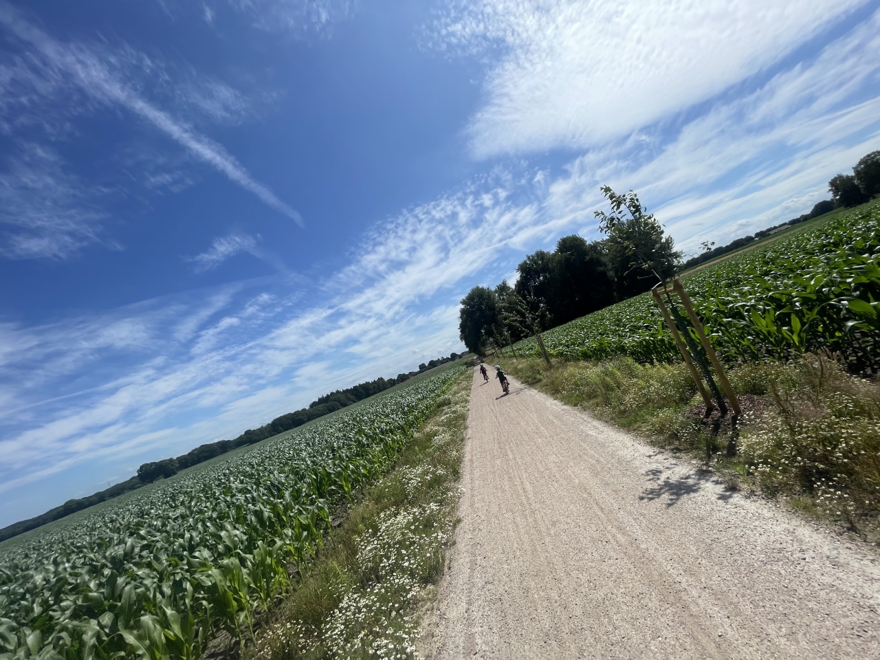 Ohne Titel 29.08.2025