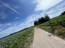 Ohne Titel 29.08.2025