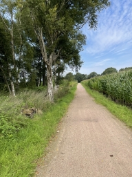 Ohne Titel 29.08.2025